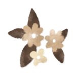 image pour mon portfolio