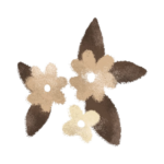 image pour mon portfolio