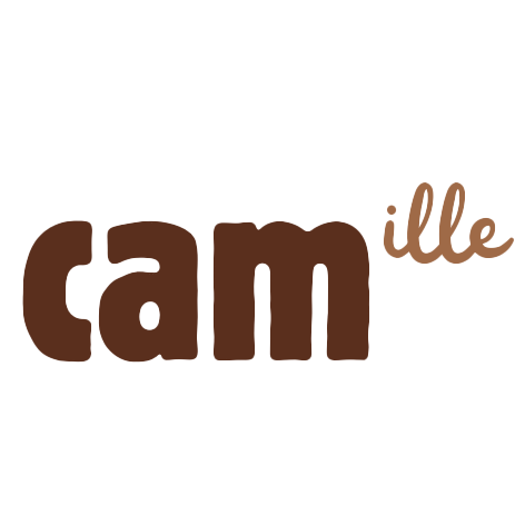 logo pour mon portfolio