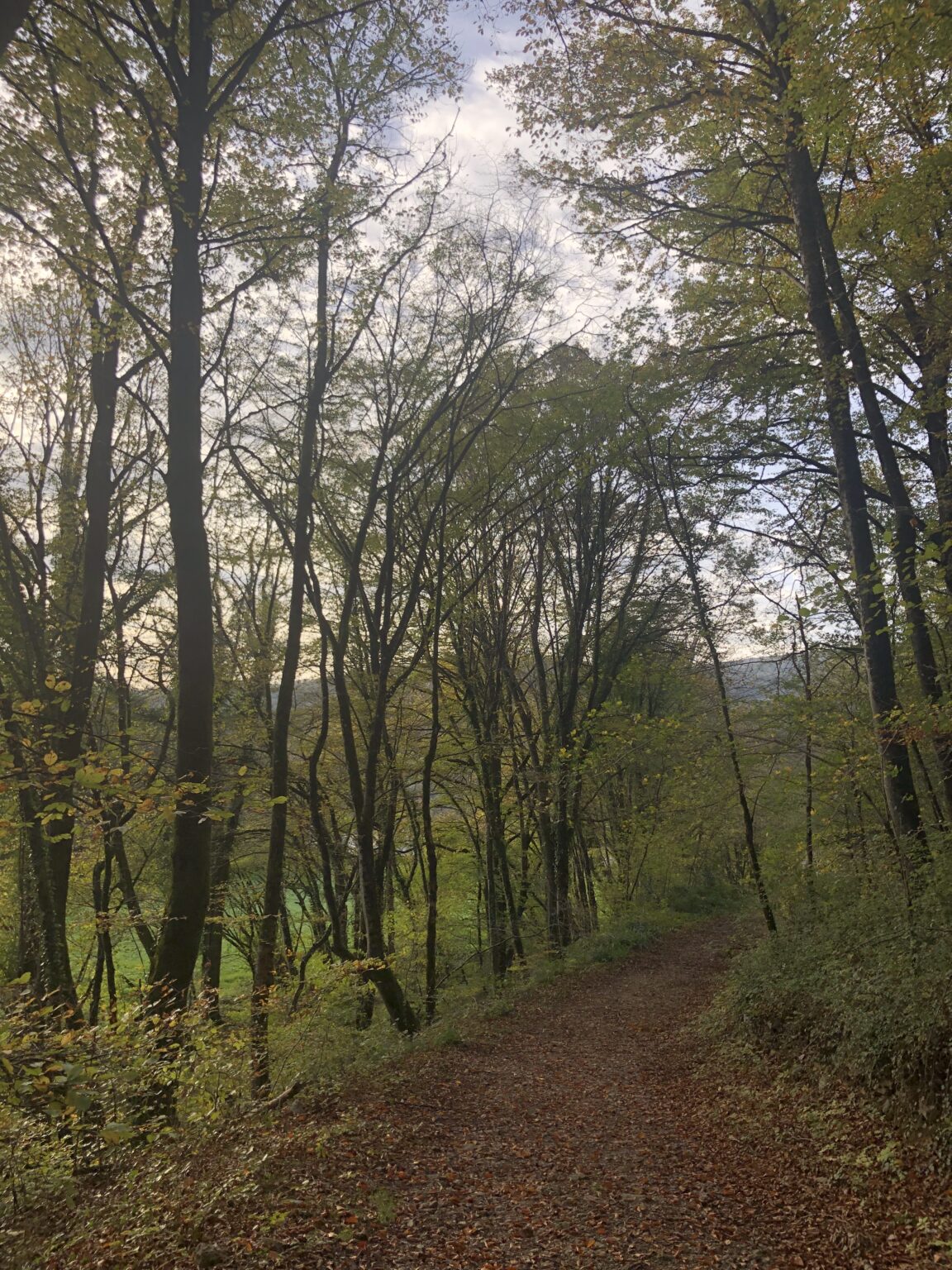 image pour mon portfolio