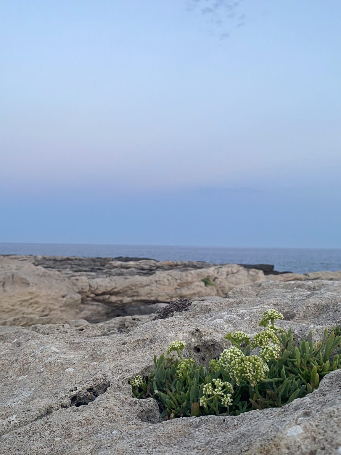 image pour mon portfolio